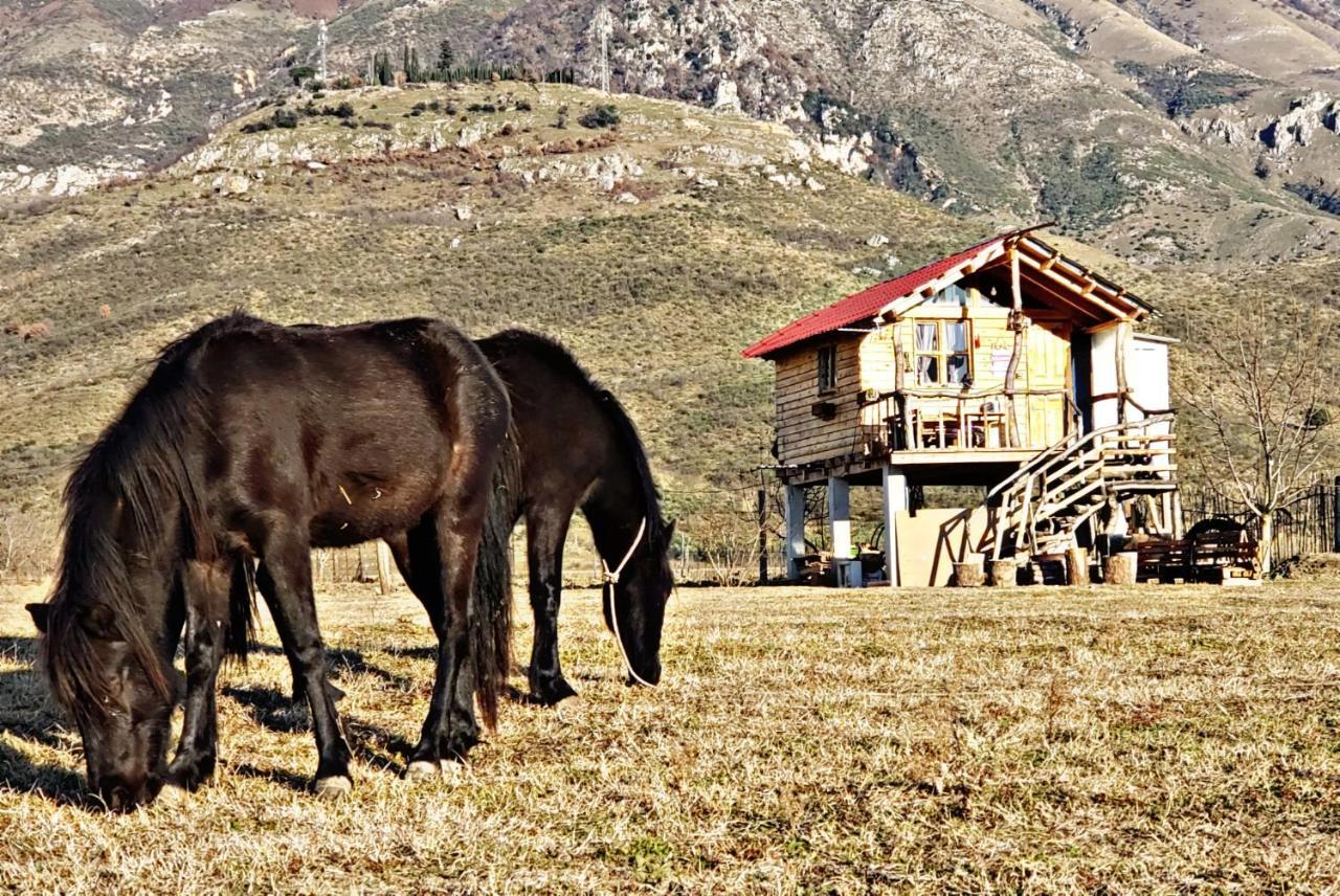 Life On The Farm Hotel Nepravishte Exterior photo